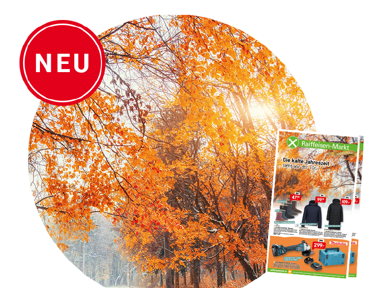 prospekt november bubble titel hauptprospekt 09 2025 740x579